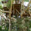 Отель Pai Treehouse Resort, фото 10