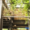 Отель Yuanshan Hostel, фото 12