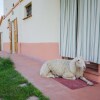 Отель Agriturismo Ca' de' Gatti, фото 27