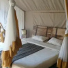 Отель Kilima Valley Serengeti Tented Lodge, фото 1