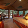 Отель Elephant Valley Lodge, фото 1