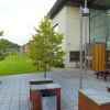 Отель Queens University Belfast - Elms Village - Hostel, фото 9