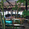 Отель Chumphon Cabana Resort, фото 13