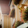 Отель Restaurant Adler, фото 16