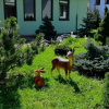 Отель Centrum Natury Beskid, фото 27