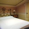 Отель Europa Mansionette Inn, фото 4