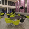 Отель Holiday Inn Express & Suites Hermosillo, фото 15