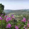 Отель Agriturismo Borgo Spagnoli, фото 7