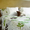 Отель Sunshine Suites At Little Italy, фото 1