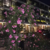 Отель Xi Xi Holiday Hotel, фото 11
