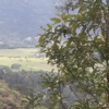 Отель Chalés Vista Bonita, фото 5