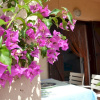 Отель Via Degli Ibiscus Fpo-ibis03, фото 9