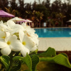 Отель Saint Mary Resort, фото 42