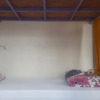 Отель Tiny Tigers Hostel, фото 4