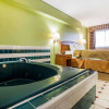 Отель Quality Inn & Suites Dublin, фото 15
