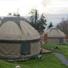 Отель Charming Yurt in Kelburn Estate Near Largs, фото 9