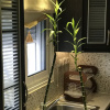 Отель Villa Drakos Honey, фото 8