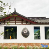 Отель V Coffee Snow Mountain View B&B, фото 1