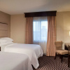 Отель Embassy Suites by Hilton Houston Near the Galleria, фото 6