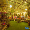 Отель Lijiang Qianmo Shuxiang Snow View Inn, фото 9