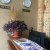 Отель «Лара», фото 16