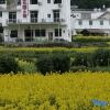 Отель Wuyuan Jiangling Garden Hostel, фото 1