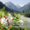 Отель Pension Wasserfall, фото 14