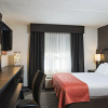 Отель Holiday Inn Express & Suites Boston - Cambridge, an IHG Hotel, фото 11
