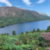 Отель Snowdonia Stone Cottage, фото 21