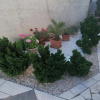 Отель House Panorama, фото 22