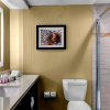 Отель DoubleTree by Hilton Hotel Arlington DFW South, фото 23
