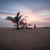 Отель Bar Reef Resort, фото 5