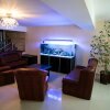 Гостиница Townhouse on Belykh Akatsiy Guest House в Сочи