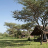 Отель Ikoma tented Camp, фото 18
