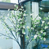 Отель Qici Ramlin B&B (Mount Wutai Scenic Area), фото 11