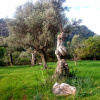 Отель Ca Na Carme (Ca Na Carme Alaronera), фото 13