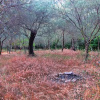 Отель Casa Scola Agriturismo, фото 18