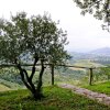 Отель Casa Rural Kaxkarre, фото 25