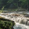 Отель Tentrr - Purling Waters at Tumblin' Falls - Campsite, фото 2