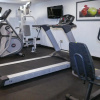 Отель Holiday Inn Fort Myers - Downtown Area, an IHG Hotel, фото 19