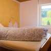 Отель Steiert Panorama Apartments Todtnau, фото 21