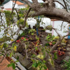 Отель Casadangra, фото 38