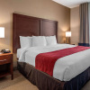 Отель Comfort Inn & Suites, фото 19