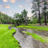 Отель Canyon Creek Lodge 208 - Wildcat Den, фото 11