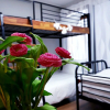 Отель Hue Guesthouse, фото 10