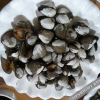 Отель Zhujiajian Haijingsha Hotel, фото 7