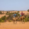 Отель Camp Du Désert – Esprit d’Afrique, фото 5