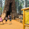 Отель The Yosemite Inn, фото 14