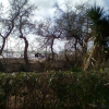 Отель House With 2 Bedrooms in Torretta Granitola, With Wonderful sea View a, фото 12