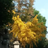 Отель Middle Huaihai Road Homestay, фото 14